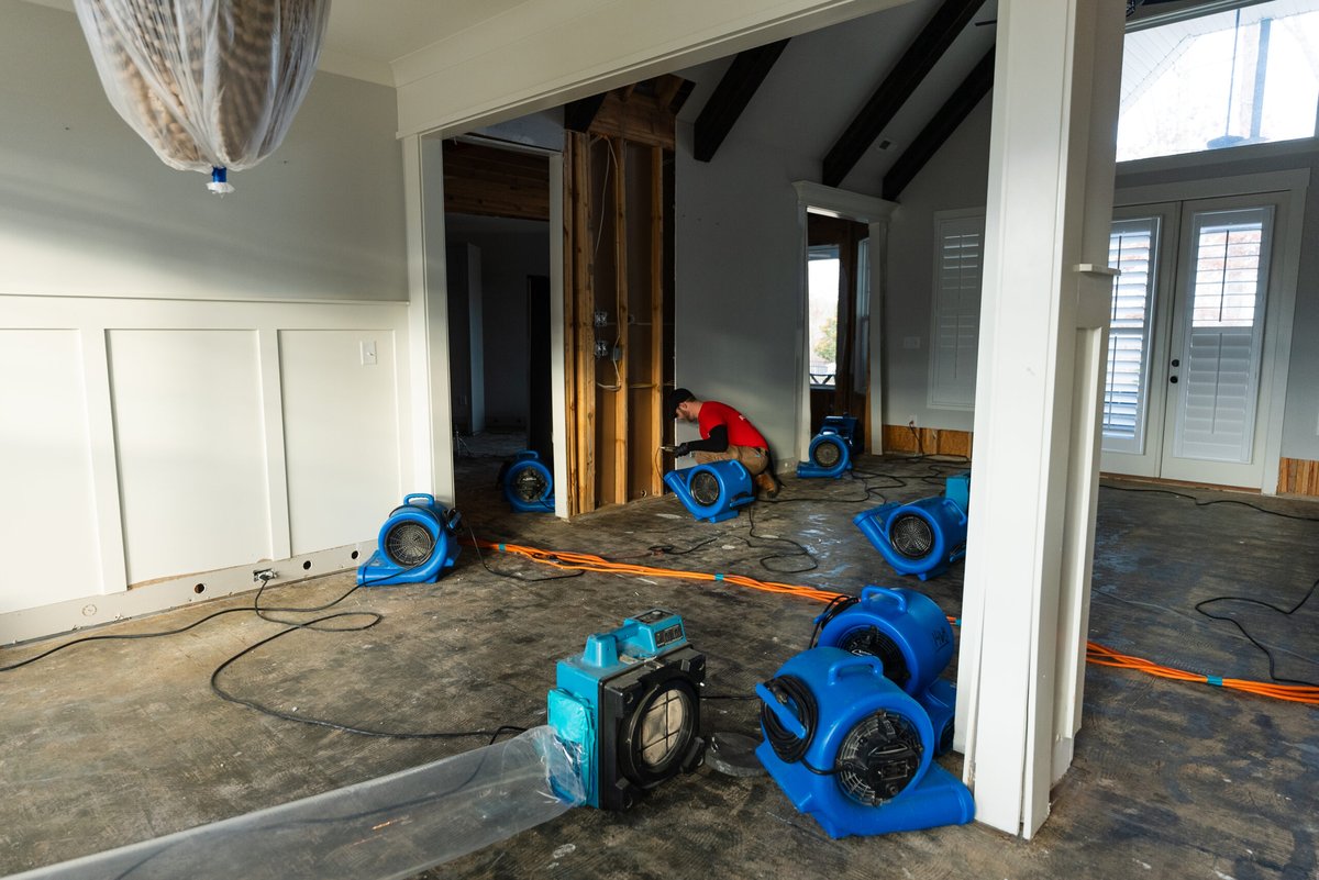 Air movers and drying equipment set up in a room